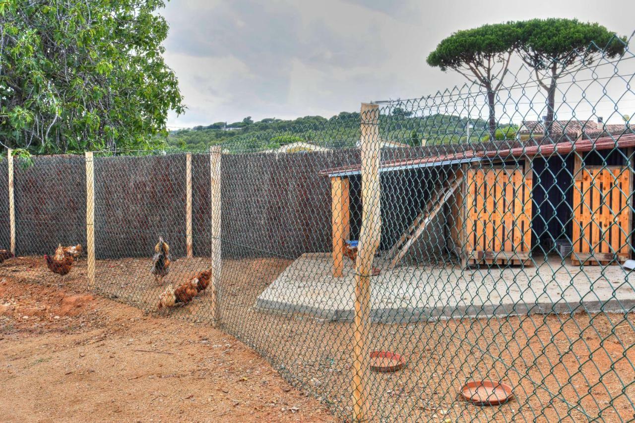 Masia Cal Ros S'agaró Exterior foto